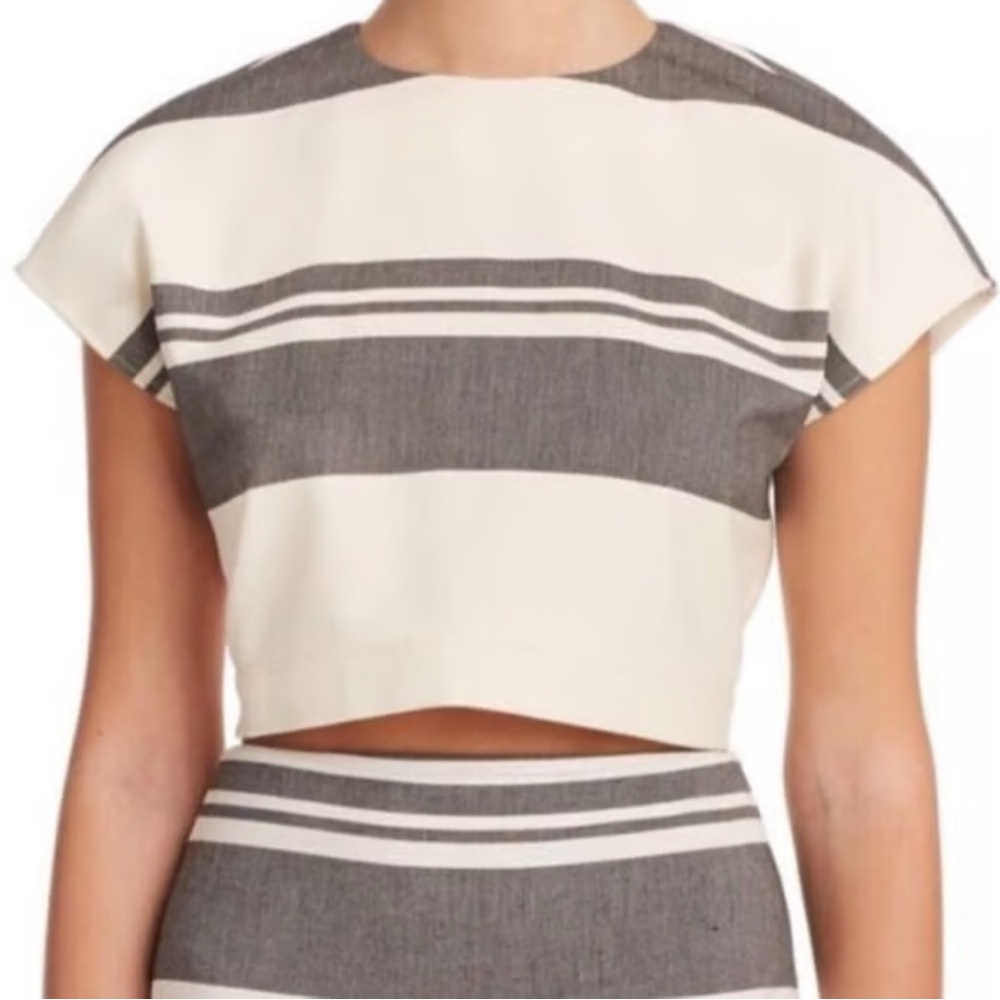 Elizabeth and James Gray and White Striped Crop Top